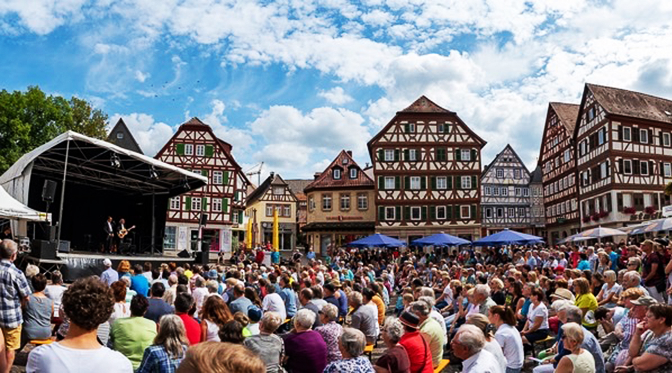 Viel Kultur - Mosbacher Sommer - Stadtwerke Mosbach unterstützen