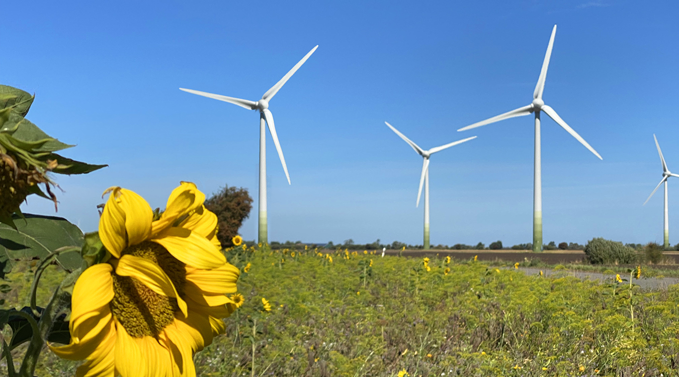 Windpark Fehmarn -Windkraft kommt voran